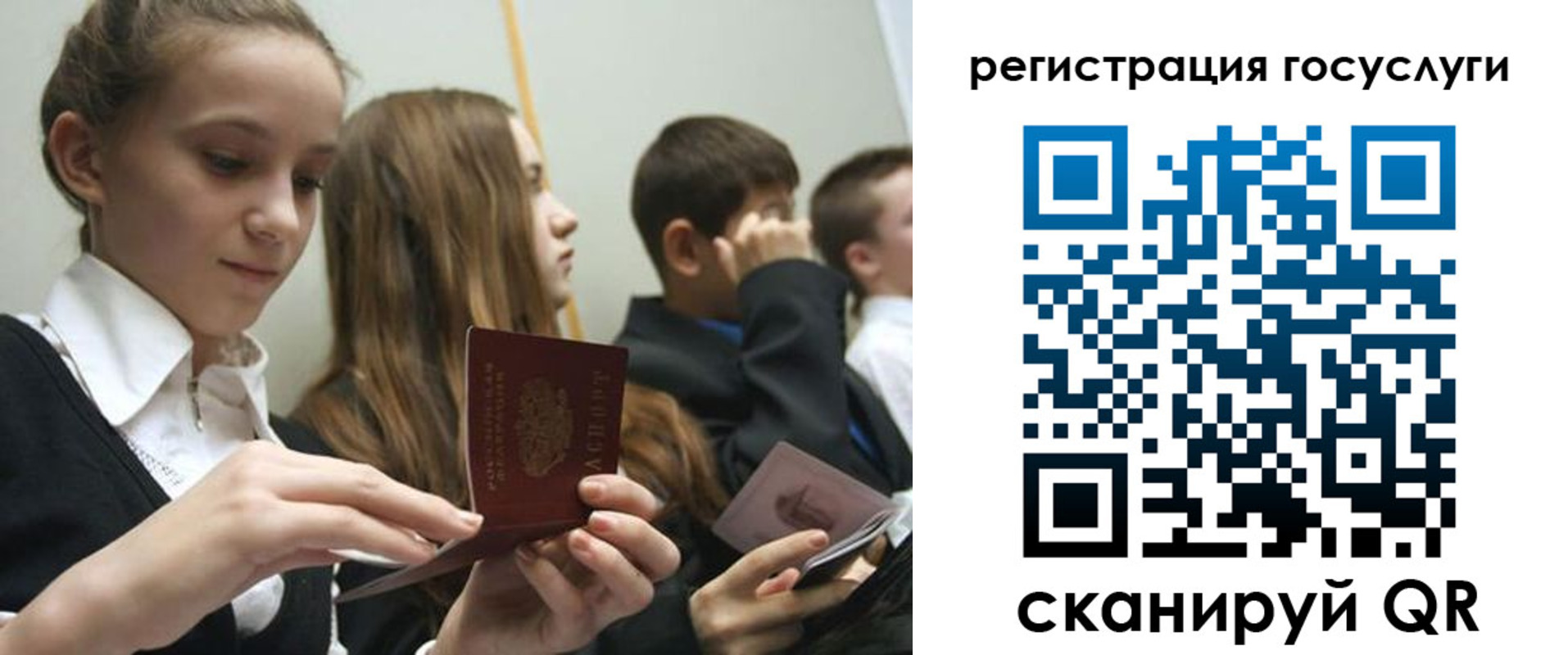 прописка поиск в Ростове